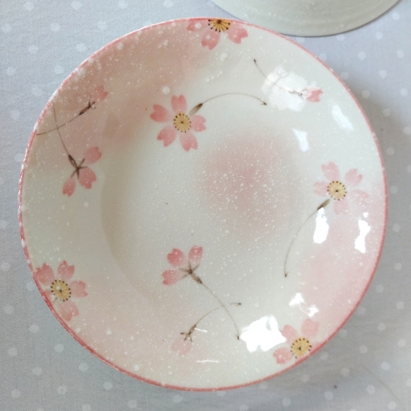 Mino Japan Pink and Cream Sakura Cherry Blossom Ceramic Bowls (4) - Picture 1 of 5